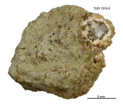 https://files.geocollections.info/large/3f/b0/3fb0ca28-1eb8-4d86-b047-d08b8a7f0b9b.jpg
