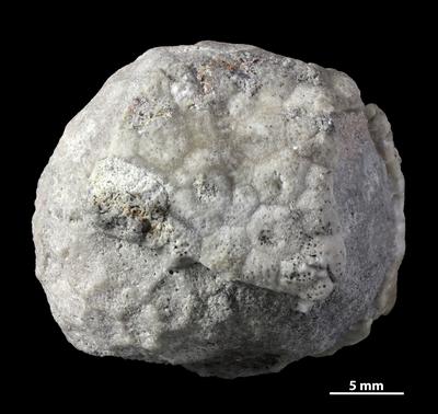 https://files.geocollections.info/large/3f/cd/3fcd09be-1090-41f4-ad6d-299755d2c479.jpg