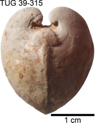 https://files.geocollections.info/large/40/9f/409f10b1-a095-4894-a97e-a547df41f8bd.jpg