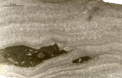 https://files.geocollections.info/large/41/5f/415f7b79-8290-4c46-9002-12f83cda070b.jpg