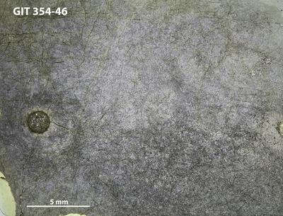 https://files.geocollections.info/large/41/66/41669961-76bb-49c1-b7d0-05ccbf00bb9b.jpg