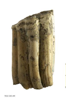 https://files.geocollections.info/large/42/6b/426b52b7-2534-4435-93f9-e039f67bbb3f.jpg