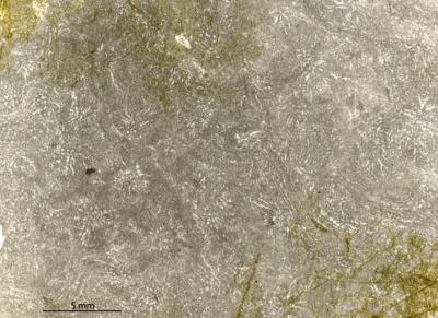 https://files.geocollections.info/large/42/ba/42ba9cb8-c82d-4146-a935-345e7a391fed.jpg