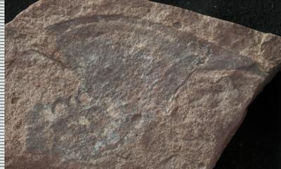 https://files.geocollections.info/large/42/e9/42e9e1a8-57bc-49de-9661-2d1f9b9c12b4.jpg