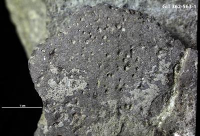 <i></i><br />Ohesaare cliff,  m, Ohesaare Stage