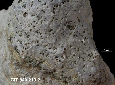 <i></i><br />Hosholm shore,  m, Pirgu Stage