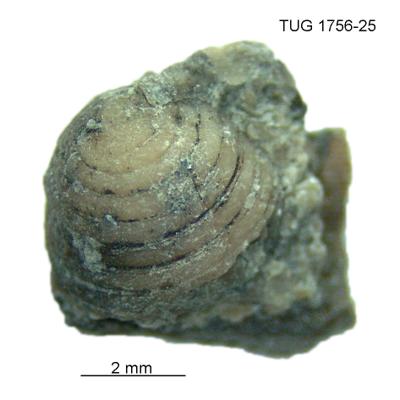 https://files.geocollections.info/large/43/97/4397c9cb-3e49-4ae8-8252-f2e2f0fade8e.jpg