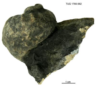 https://files.geocollections.info/large/43/a1/43a14aa8-9f76-4bf7-b17b-8ecc347e71d4.jpg