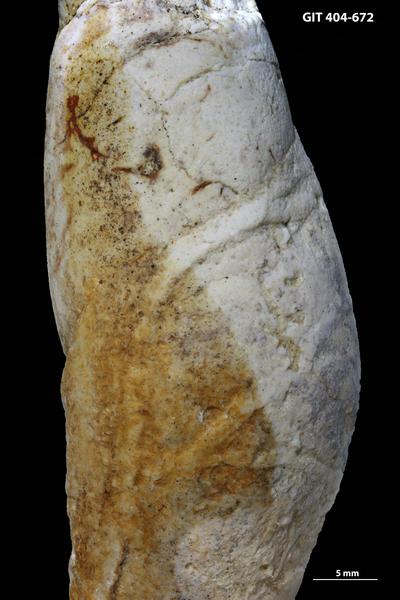 https://files.geocollections.info/large/44/2e/442eeb94-e39f-47d7-9b6e-ce1aacacab19.jpg