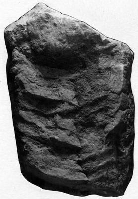 https://files.geocollections.info/large/44/53/44535bdf-74e3-468a-87c5-6593c4c1c6b1.jpg
