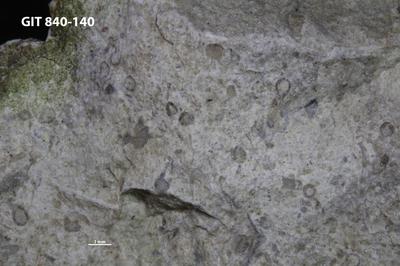 https://files.geocollections.info/large/44/7d/447dfe37-d023-4311-813e-ce529fb55dd5.jpg