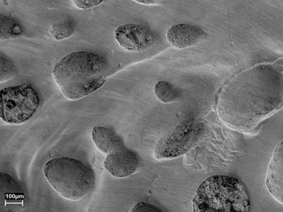 https://files.geocollections.info/large/45/38/45380646-64a7-4b97-9d6b-8c65a1435d8f.jpg
