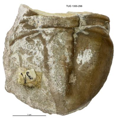 https://files.geocollections.info/large/45/4e/454e97e5-67ab-408a-82ac-4bba29d905a6.jpg
