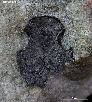 https://files.geocollections.info/large/45/ae/45ae00b4-4e25-4df2-91bc-62774c318579.jpg