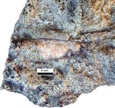 https://files.geocollections.info/large/45/c0/45c04861-2bf0-4266-a64c-574385530057.jpg