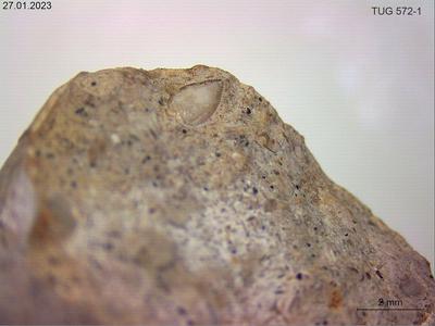 <i></i><br />Kiiu (near to Peterburi road),  m, Kunda Stage