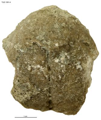 https://files.geocollections.info/large/47/04/47048aee-68d5-4661-9bf3-0769d7ffa06e.jpg