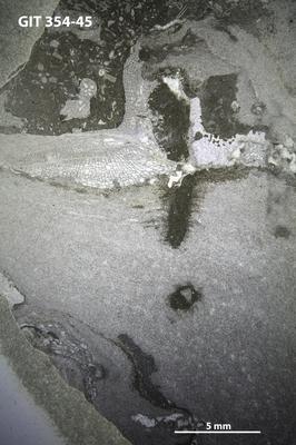 https://files.geocollections.info/large/47/31/47314072-d4a6-46fd-8d81-d4d26c7a2356.jpg