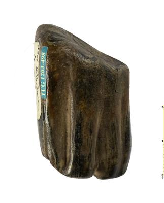 https://files.geocollections.info/large/47/a9/47a92e5f-44cb-4264-9a43-c4d5ea4490c6.jpg