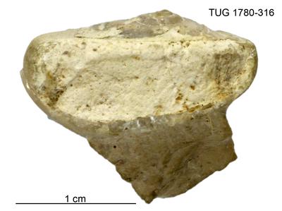 https://files.geocollections.info/large/47/d4/47d450ff-5995-4fad-86bf-797039651257.jpg