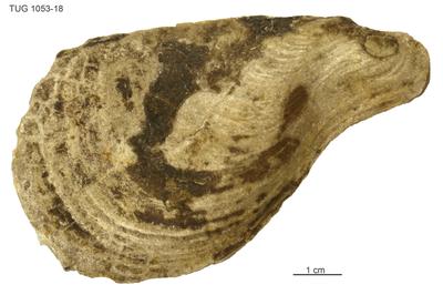 https://files.geocollections.info/large/48/6c/486c4a9a-b050-4875-adb6-afff777f8f2a.jpg