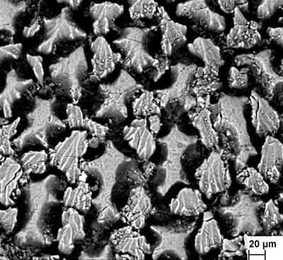 https://files.geocollections.info/large/48/9c/489cb60a-d835-44e5-86c8-09fccf6a9adb.jpg