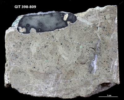 <i></i><br />Harku quarry,  m, Volkhov Stage