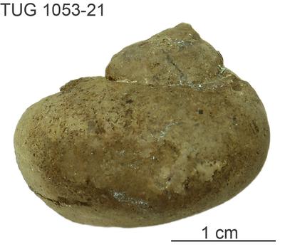 https://files.geocollections.info/large/49/2c/492c9c36-77b9-4b92-b784-db4bbbcb437b.jpg
