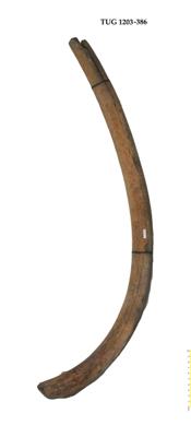 https://files.geocollections.info/large/49/46/4946becd-f4f6-41b6-a21e-e450277f1a5f.jpg
