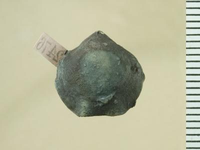 https://files.geocollections.info/large/4a/05/4a050d77-d8f2-46e2-aad4-7cacd8286135.jpg