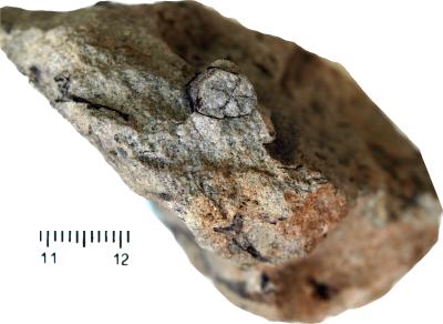 https://files.geocollections.info/large/4a/9e/4a9e9609-7e60-421f-989c-5261ac8353fe.jpg