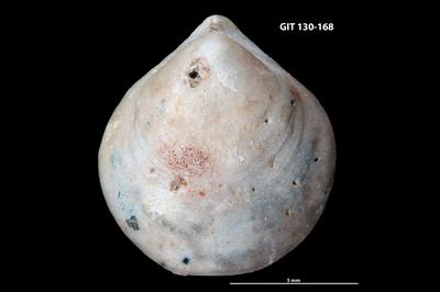 https://files.geocollections.info/large/4a/bb/4abbca3a-c05c-4eba-96e7-9369521d914d.jpg