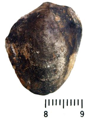 https://files.geocollections.info/large/4b/87/4b874302-df9c-42cb-8ab4-343b3a651df2.jpg