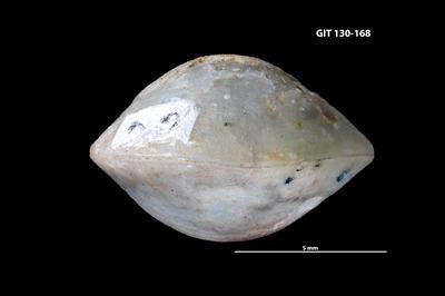 https://files.geocollections.info/large/4b/89/4b89fa61-0aff-41ea-a4e7-3db63c57fb10.jpg