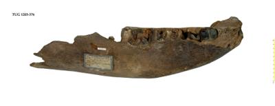 https://files.geocollections.info/large/4b/f7/4bf7c9d5-8fa7-4be1-8c25-2ec167dbe6a7.jpg