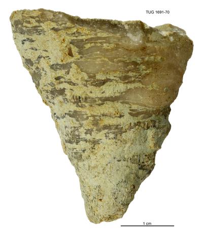 https://files.geocollections.info/large/4c/03/4c031a09-5bc2-4a9b-bdae-a9331421dd34.jpg