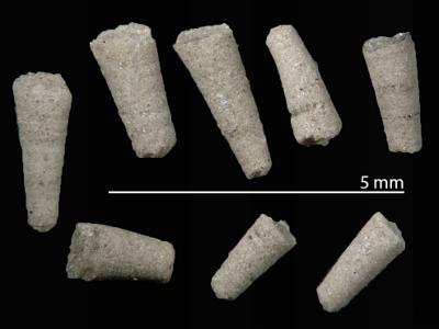https://files.geocollections.info/large/4c/06/4c06a00c-8481-4ec2-91b9-fad2b7176b44.jpg
