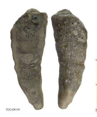 https://files.geocollections.info/large/4c/1d/4c1d483a-2cc9-4394-a079-4321943e7416.jpg