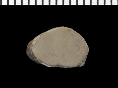 https://files.geocollections.info/large/4c/54/4c54dec1-c8cf-4509-ae04-e9b56215cfa0.jpg
