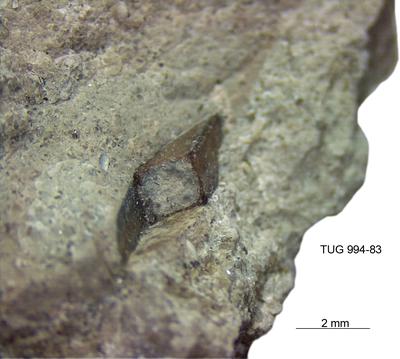 https://files.geocollections.info/large/4c/d1/4cd1b7c9-8b56-4f27-a15f-4c438454220b.jpg