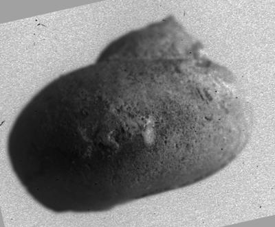 https://files.geocollections.info/large/4d/60/4d60e72f-6f9b-40c6-b751-3c393ab27089.jpg