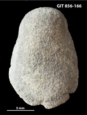https://files.geocollections.info/large/4d/a1/4da12c59-8d28-4dcd-8712-b8c203e3b74a.jpg