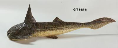 https://files.geocollections.info/large/4d/ac/4dacf30a-45cf-428d-a48c-10c98b4eca55.jpg