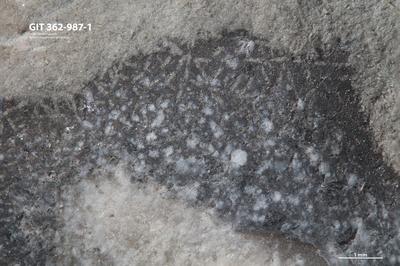 <i></i><br />Ohesaare cliff,  m, Ohesaare Stage