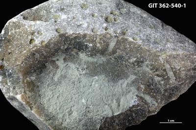 <i></i><br />Suuriku cliff,  m, Jaani Stage