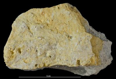 <i></i><br />Käriselja Trench,  m, Adavere Stage