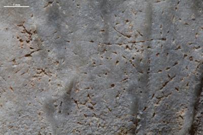 <i></i><br />Kohtla,  m, Kukruse Stage