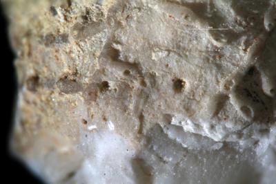 <i></i><br />Moe,  m, 