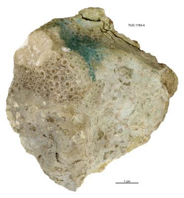 https://files.geocollections.info/large/4f/05/4f05d85b-2293-47b9-85a1-4b232a972563.jpg