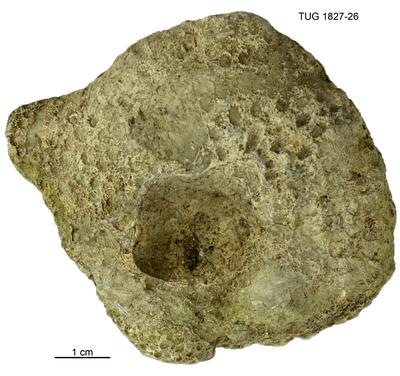 https://files.geocollections.info/large/4f/34/4f34f5a9-c4be-4623-947c-3e74d81b9c45.jpg
